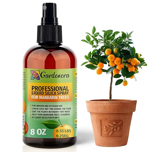 𝐒𝐔𝐏𝐄𝐑𝐈𝐎𝐑 Liquid Silica Boost Fertilizer and Supplement Spray for Mandarin Trees – Pre-Mixed, Ready-to-Use Liquid Silicon Plant Superfood Mist for Indoor & Outdoor Plants – 8oz