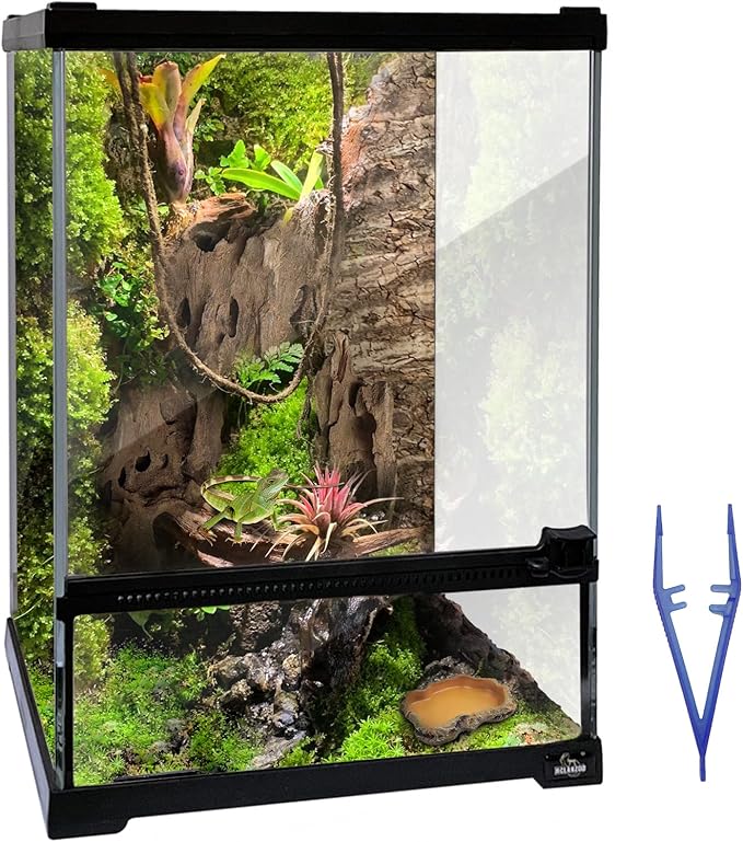 waazoorep Reptile Glass Terrarium Tank 10 * 10 * 14in, Full View with Front Opening Door,Amphibians Enclosure Habitat Cage for Crested Gecko,Spider,Tarantula,Lizard,Hermit Crab,Frog,Mantises,Insects
