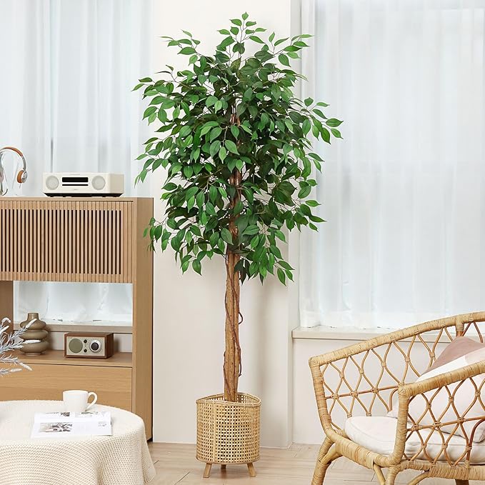 6ft Ficus Artificial Trees with Realistic Leaves and Trunk, Silk Fake Ficus Tree with Plastic Nursery Pot, Faux Ficus Tree for Office Home Farmhouse for Indoor Outdoor Decor(Set of 1)