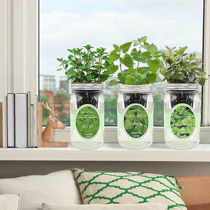 Environet Hydroponic Herb Growing Kit Set, Self-Watering Mason Jar Herb Garden Starter Kit Indoor, New Christmas Gift for Mom (Mint, Peppermint & Catnip)