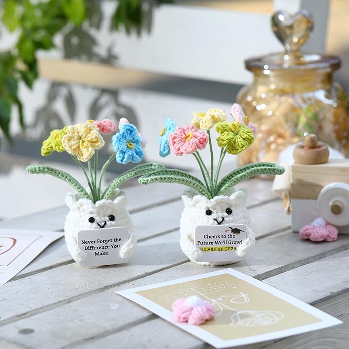 YOOJEE Forget-Me-Not Positive Crochet Flowers Plants Gift Handmade Desk Decor with Card “This is a Little Reminder” Appreciation Inspirational Gift for Coworkers Women Employee Teacher Best Friend Mom