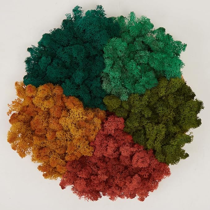 prefleur Preserved Reindeer Moss Natural Green DIY Kit Gardenning Art Wall Decor Florist Decor Easter Table Decor Wedding