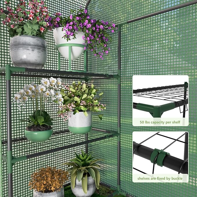 Greenhouse for Outside with Screen Windows, Outdoor Walk in Greenhouses with Durable PE Cover, 57 x 57 x 76'' Small Portable Green House with Shelves Stands,Green