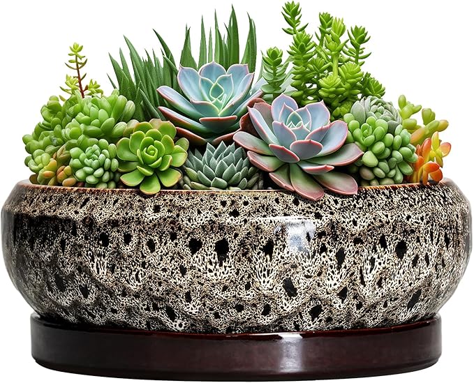 EPFamily Succulent Pots 10 Inch - Ceramic Bonsai Pots with Drainage Hole and Tray, Large Succulent Planters, Shallow Planter Indoor, Round Planter Bowl, Window Decor, Gifts for Plant Lovers, White