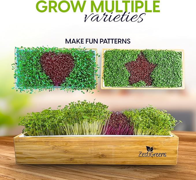 ZESTIGREENS Self Watering Microgreens Growing Kit. Hands Down The Easiest Way to Grow Microgreens. Includes Tray, Seeds, Mats, and Bamboo Surround. Great Gift for Gardeners