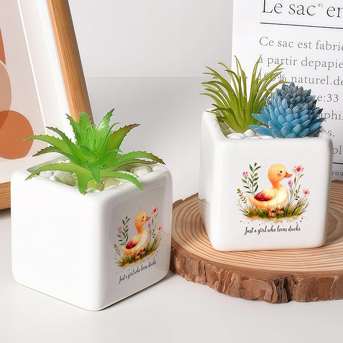 BJDAMAI Duck Succulent Planter Flower Plant Pot Small, Gifts for Women Teens Girls Kids, Duck Lovers Themed Stuff Accessories Things Decor Merch, Home Office Table Desk Decoration!