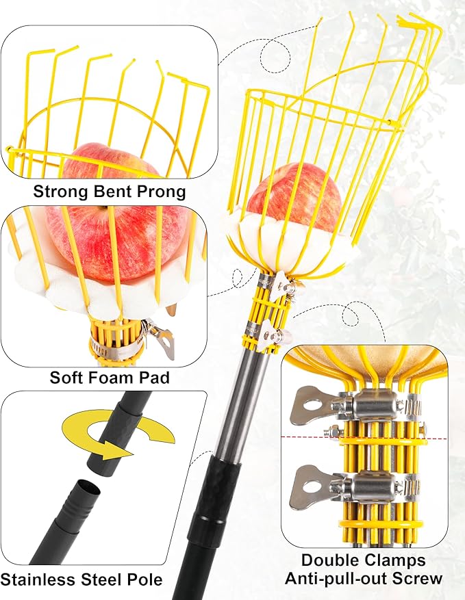 6.5FT Fruit Picker with Basket, Apple Picking Tool 35–77 Inch Adjustable Pole, Long-Handle Mango Grabber, Tree Fruit Catcher for Harvesting Lemon Pear Orange Avocado Peach Citrus Grapefruit