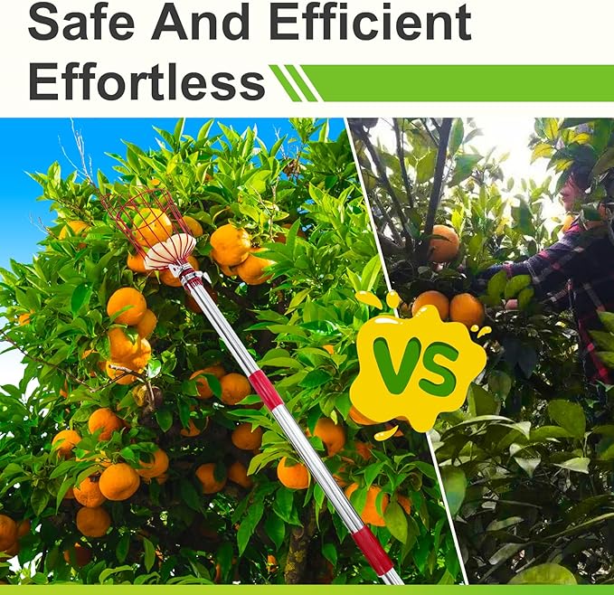 2-in-1 12 FT Pole Saw and Fruit Picker for Tree Trimming and Fruit Harvesting, SK5 Blade and High Carbon Steel Fruit Picker for Cutting High Branches and Fruit Grabber, Stainless Steel Pole