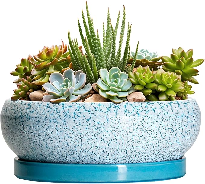 EPFamily Succulent Pots 8 Inch - Ceramic Bonsai Pots with Drainage Hole and Saucer, Succulent Planters for Indoor Plants Outdoor, Round Shallow Planter Bowl, Porch Decor, Gardening Gifts, Blue