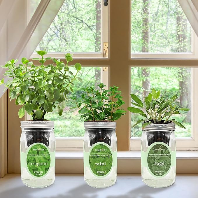 Environet Hydroponic Herb Growing Kit Set, Self-Watering Mason Jar Herb Garden Starter Kit Indoor, Windowsill Herbs Garden. Grow Your Own Herbs from Organic Seeds (Mint, Sage, Oregano)