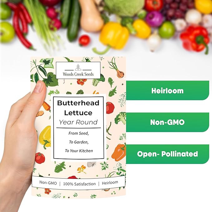 All Year Round Butterhead Lettuce Seeds for Planting - Over 2,700 Heirloom Non-GMO Seed Pack for Indoors & Outdoors - Beginner-Friendly Green Leaf Lettuce Seed | Woods Creek Seeds