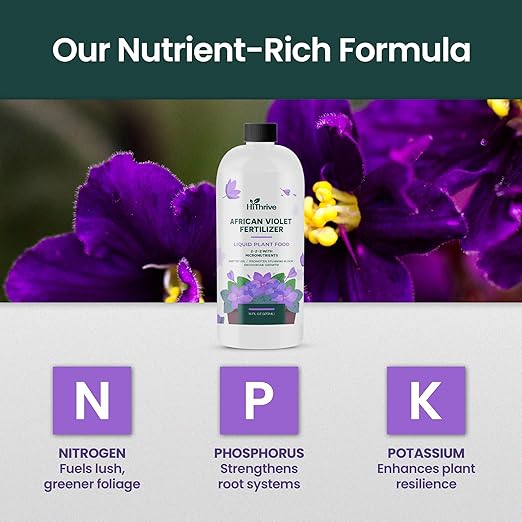 16oz African Violet Fertilizer for African Violets Live Plants - Makes 24 Gallons of Indoor Plant Food for Houseplants, Balanced Macro & Micronutrients Formula for Vibrant Blooms & Lush Foliage