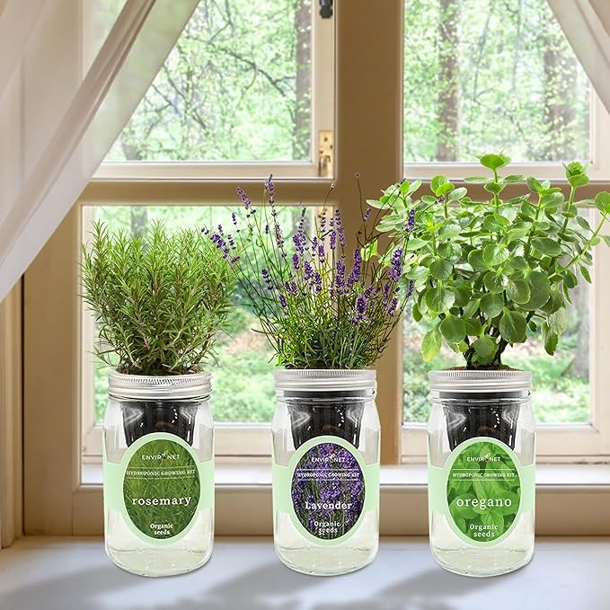 Environet Hydroponic Herb Growing Kit Set, Self-Watering Mason Jar Herb Garden Starter Kit Indoor, Windowsill Herbs Garden, Grow Your Own Herbs from Organic Seeds (Rosemary, Lavender, Oregano)