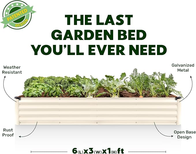 Plant & Plot Galvanized Raised Garden Beds Outdoor // 6×3×1 ft Planter Raised Beds for Gardening, Vegetables, Flowers // Large Metal Garden Box (White) // Patented Tool-Free Design