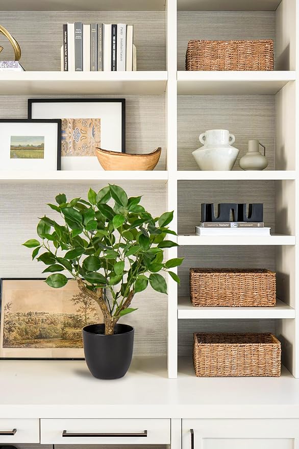 GnFlus Artificial Tree, 17'' Ficus Bonsai, Premium Faux Planted Potted Decor for Home Table Office Desk Bathroom Bedroom Living Room Farmhouse