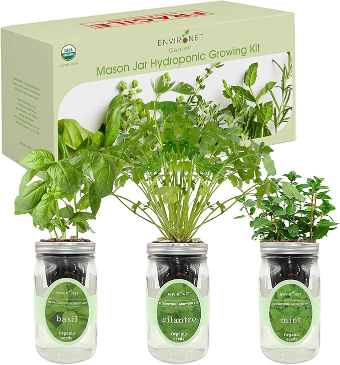 Environet Hydroponic Herb Growing Kit Set, Self-Watering Mason Jar Herb Garden Starter Kit Indoor, Window Herbs Garden, Grow Your Own Herbs from Organic Seeds (Basil, Cilantro and Mint)
