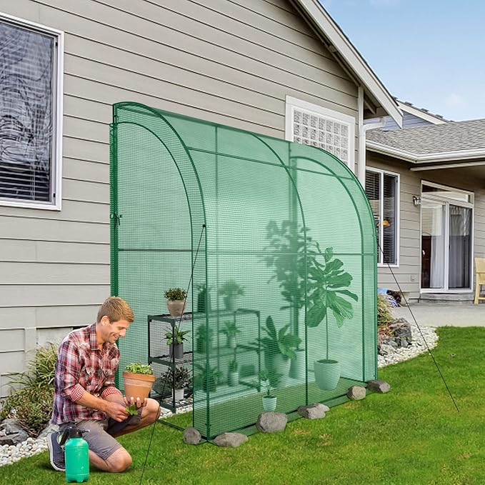 SAFSTAR 7 x 3.5 x 7 ft Greenhouse, Mini Lean-to Walk-in Green House with 3 Tiers Flower Rack & Weatherproof PE Cover, Roll-up Zipper Doors, Indoor Outdoor Garden Greenhouse for Seedling & Pot