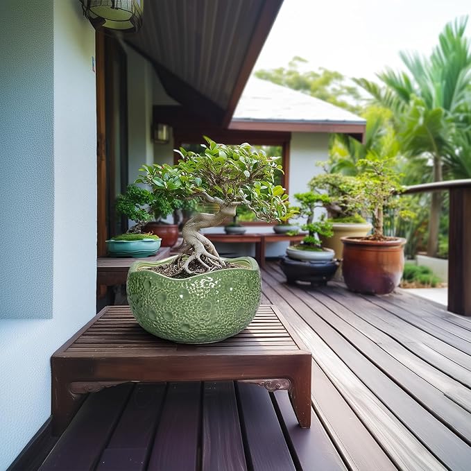Thirtypot Ceramic Pots for Plants - 10 Inch Plant Pot for Indoor Outdoor, Round Bonsai Pots with Drainage Hole, Modern Planter, Decorative Flower Pot, Living Room Decor, Gifts for Plant Lovers, Green