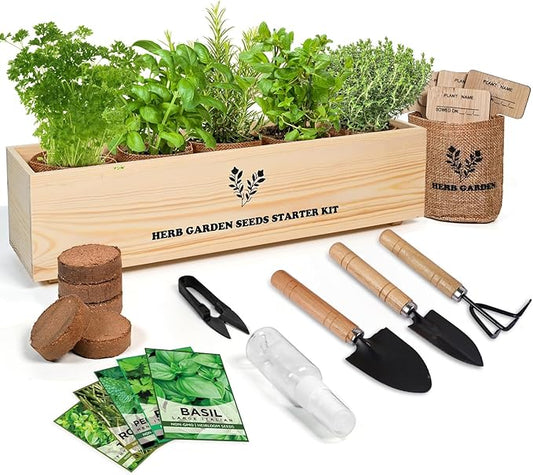 Meekear 5 Herb Seeds Garden Starter Kit with Complete Planting Kit & Wooden Flower Box, Growing into Basil, Parsley, Rosemary, Thyme, Mint for Kitchen Windowsill Herb Garden DIY