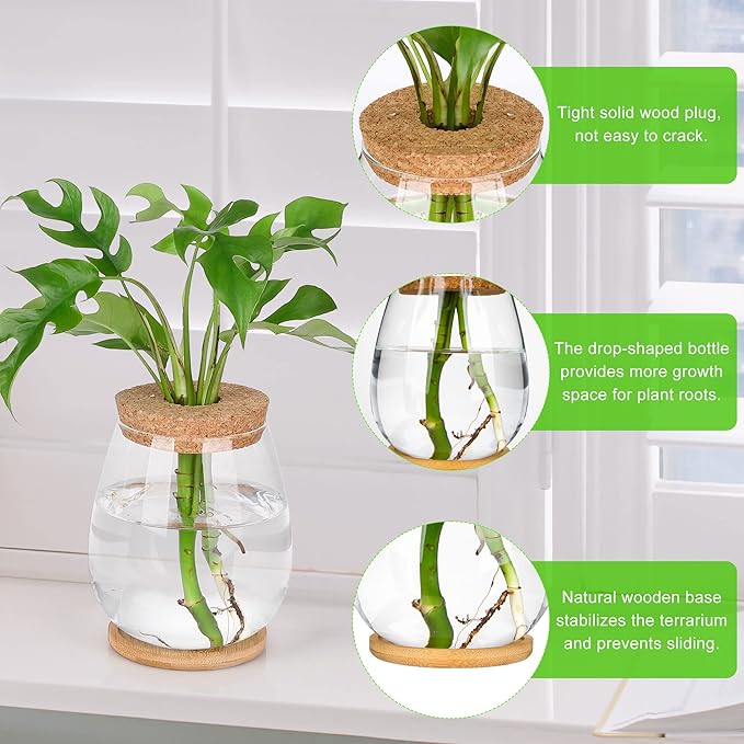 onepeng 2Pcs Propagation Vases for Plants, Well-Made Plant Terrarium, Hydroponic Glass Container Vase Jars, Plant Lover Gifts for Women, Windowsill Kitchen Desktop Decorations