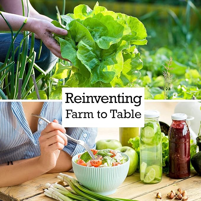 Turnip Seeds for Planting – 200 Non GMO Heirloom Purple Top Turnip Seeds – Full Planting Instructions to Plant Home Outdoor Vegetable Garden – Great Gardening Gift, 2 Packets