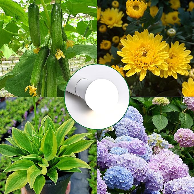 4 Pack Grow Light Bulbs-A19,LED Grow Bulb for Indoor Plants,Full Spectrum, 9 W Grow Light Bulb Replace up to 100W, Grow Light for Indoor Plants, Seedlings, Greenhouse, Hydroponic