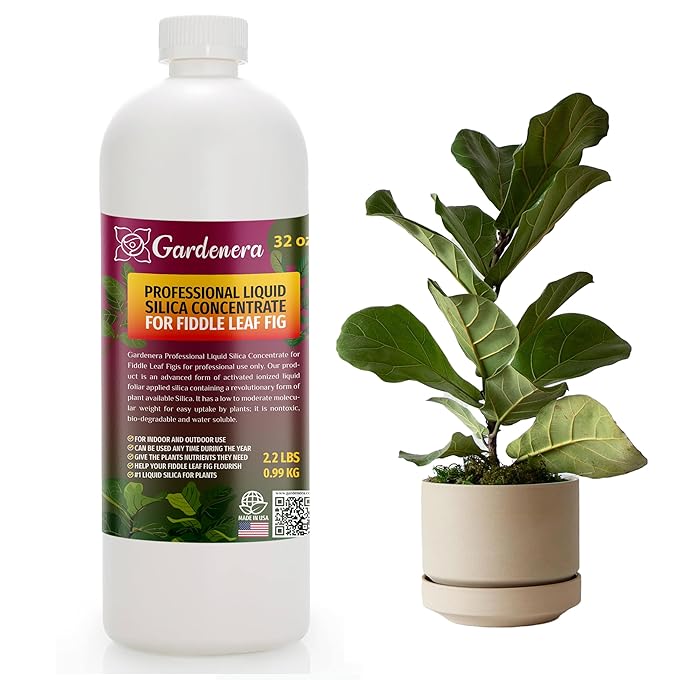 𝐏𝐑𝐎𝐅𝐄𝐒𝐒𝐈𝐎𝐍𝐀𝐋 Liquid Silica Plant Supplement - 32oz - FIDDLE LEAF FIG Plants Liquid Silica Boost Fertilizer - Stronger Stems & Healthy Leaves for Indoor & Outdoor Plants (Makes 180 Gallons)