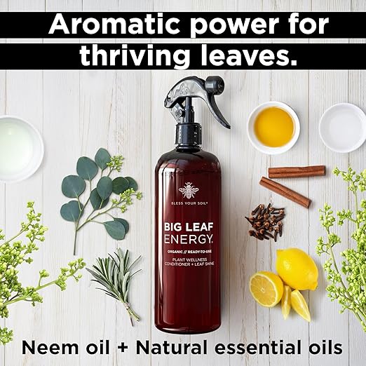 Plant Food + Neem Oil Spray for Plants : Seaweed-Rich Fertilizer for Leafy Houseplants and Organic Leaf Spray