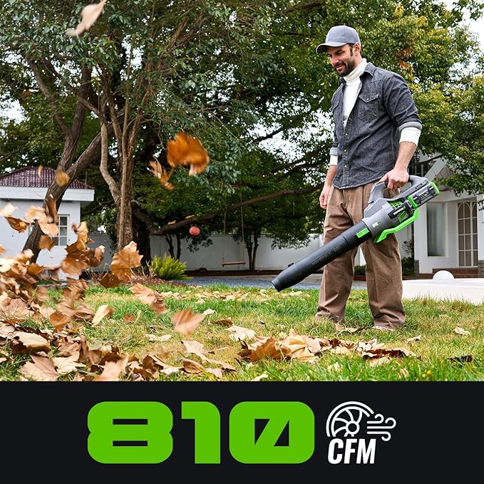 Electric Leaf Blower, 810 CFM Variable-Speed, 60-Volt Lithium-ion Cordless Leaf Blower with 2.5Ah Battery and Charger Included, Powerful for Yard Cleaning