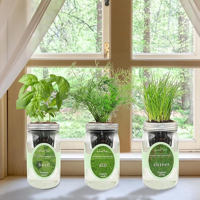 Environet Hydroponic Herb Growing Kit Set, Self-Watering Mason Jar Herb Garden Starter Kit Indoor, Windowsill Herbs Garden, Grow Your Own Herbs from Organic Seeds (Basil, Dill, Chives)