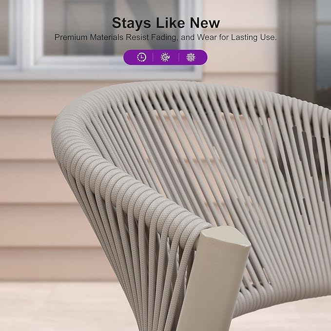 PURPLE LEAF 2 Pieces Outdoor Dining Chair All-Weather Wicker Aluminum Frame Patio Dining Chair for Lawn Garden Backyard Deck with Cushion, Champagne