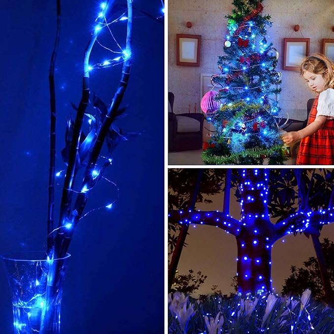 RUICHEN Silver Wire 33 Ft 100 LED USB Fairy String Lights with On/Off Switch (Blue)