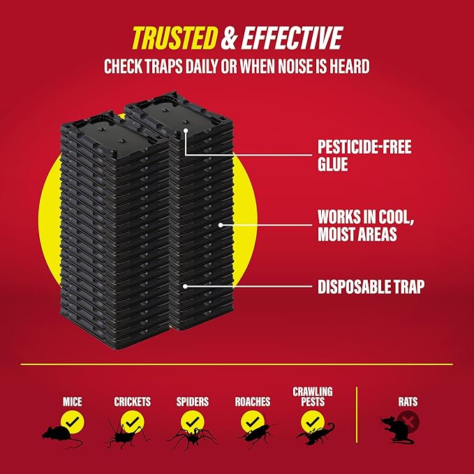 Catchmaster-40 Mouse & Insect Glue Traps, Heavy-Duty Pesticide-Free Sticky Mouse Traps Indoor for Home, Used by The PROs, Adhesive Rodent & Bug Catcher, Pest Control for House & Garage