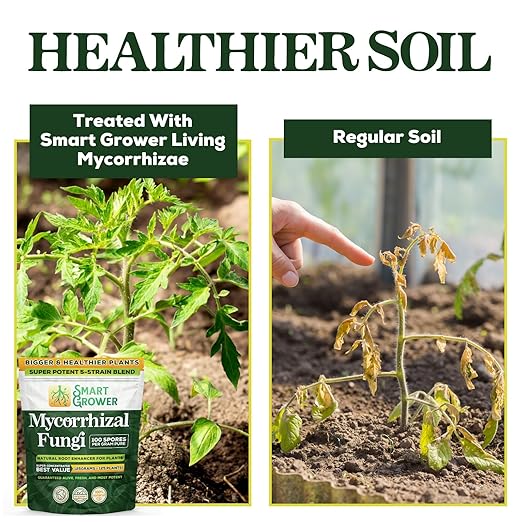 Mycorrhizal Fungi Organic Root Enhancer for Plants, Super Potent 100 Spores Per Gram, 5-Strain Blend, Rapid Results for Gardens, Houseplants, Lawns, Mycorrhizae Smart Grower 500 Grams for 500 Plants