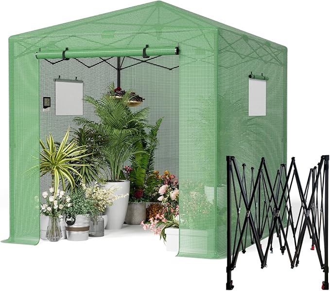 Pop Up Greenhouse, 10x10 FT Pop Up Green House for Outdoors, Portable Greenhouses, Walk-in Greenhouses, Popup Greenhouse Kit, Easy Set Up