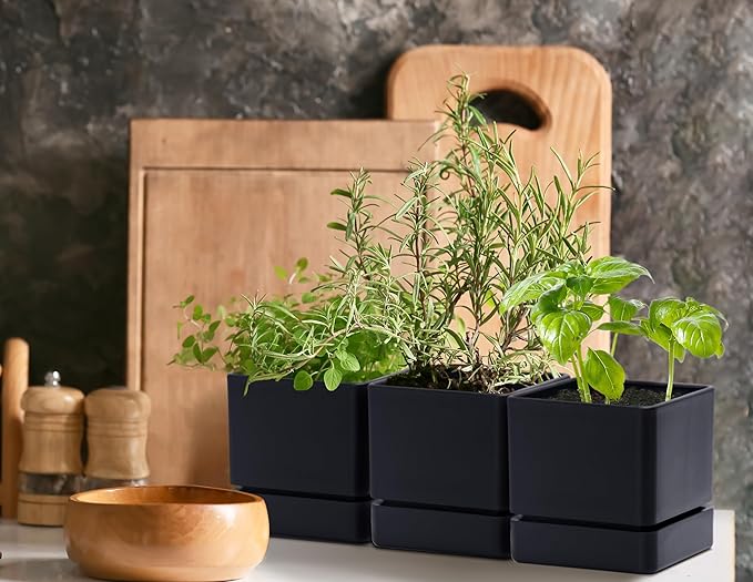D'vine Dev 4 Inch Herb Planter Pot, Plastic Planter with Drainage Holes and Saucer, Modern Decorative Gardening Pot for Indoor Plants, Flowers, Herbs, Succulents, Black, Set of 6, 76-Y-B6-1