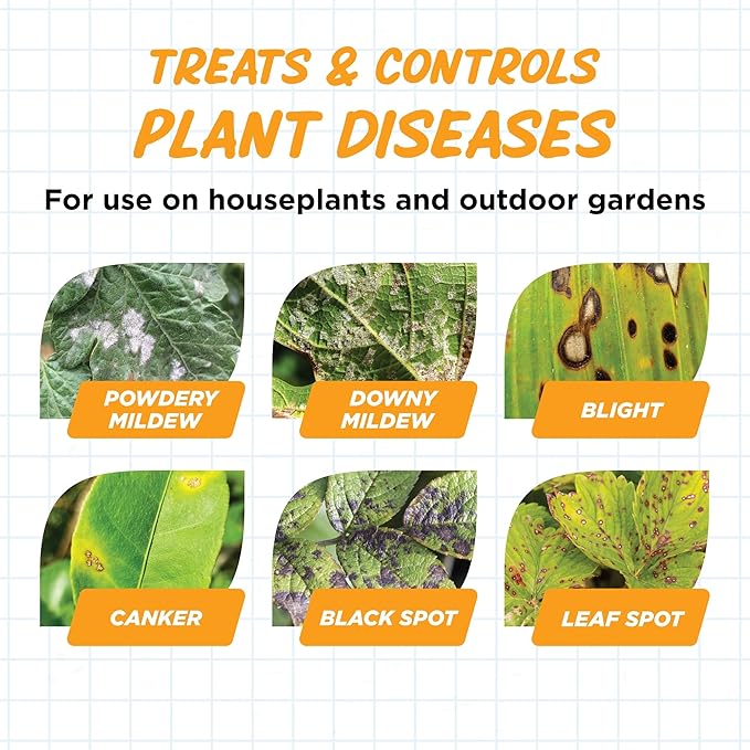 Earth's Ally Disease Control for Plants Ready-to-Use 24 oz | Fungicide Spray Treatment for Powdery Mildew, Blight, Black Spot, Fungus - Use for Plant & Rose Diseases & More
