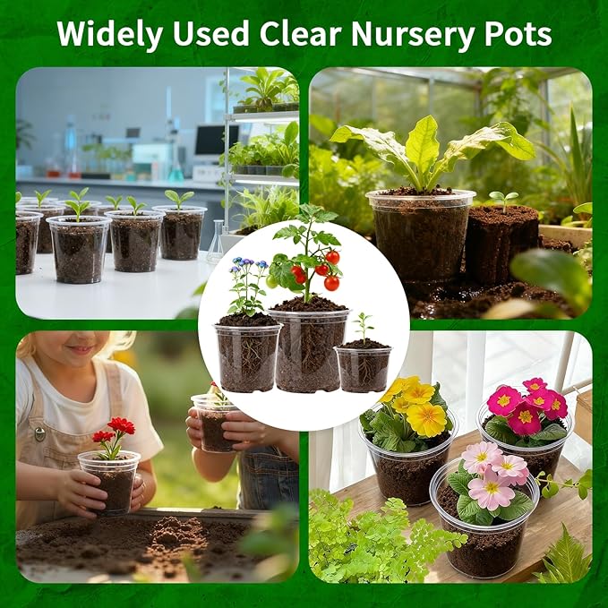 Plgardpo Clear Nursery Pots, 5/6/7 Inch Transparent Plastic Plant Pots with Drainage Holes, Variety Pack Seed Starting Pots, Flexible Clear Flower Pots for Indoor Outdoor Plants, 15 Packs