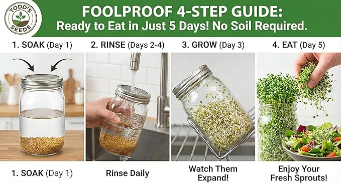 Todd’s Seeds - Premium 100% Chemical Free Alfalfa Sprouting Seeds - Easy to Grow Perfect Bulk Alfalfa Sprouts - Fast Growing with High Germination (1/4 Pound) USA Made