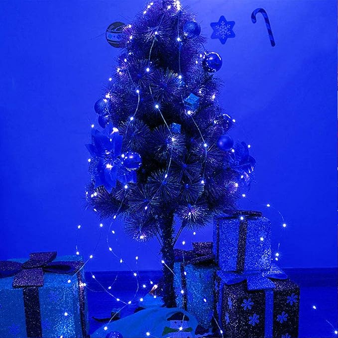 RUICHEN Silver Wire 33 Ft 100 LED USB Fairy String Lights with On/Off Switch (Blue)