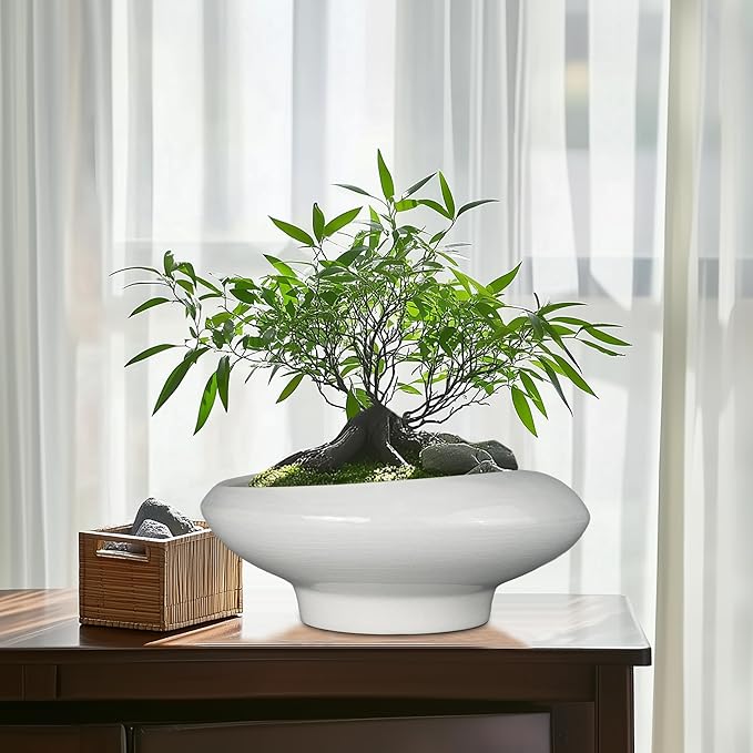 Teagas Bonsai Pots 13 Inch - Ceramic Succulent Pots with Drainage Hole Decorative Plant Pot Indoor Large Outdoor Planter Modern Flower Pot for Home Garden Office Room Decor Gray