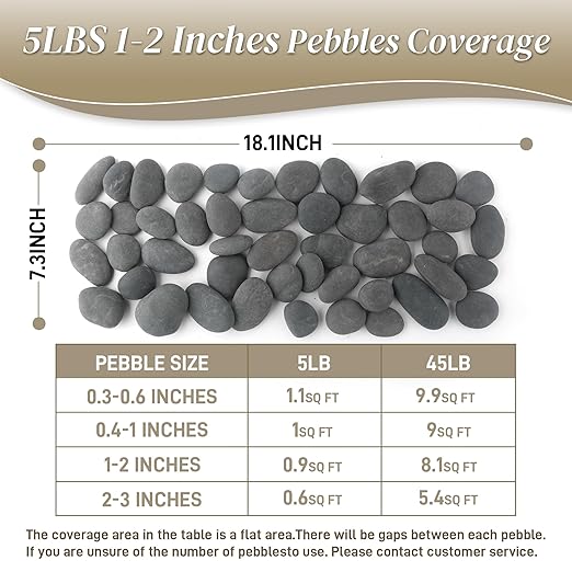 Quibbay 5 lbs Natural Mexican Beach Pebbles, 1-2 Inch Large River Rocks for Plants and Landscaping, Decorative Stone for Fish Tank Aquarium Fountain Garden Paving Walkways Pathways Backyard, Grey