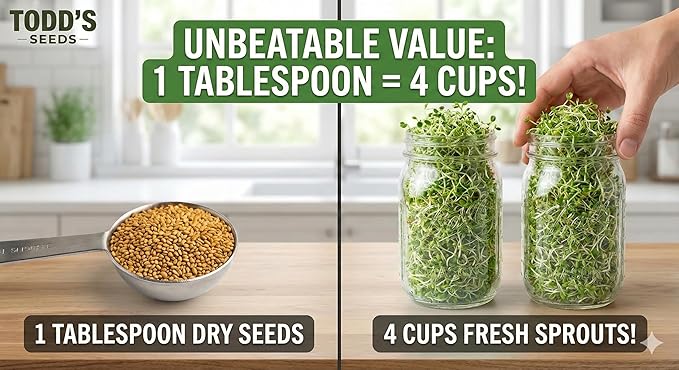 Todd’s Seeds - Premium 100% Chemical Free Alfalfa Sprouting Seeds - Easy to Grow Perfect Bulk Alfalfa Sprouts - Fast Growing with High Germination (1/4 Pound) USA Made