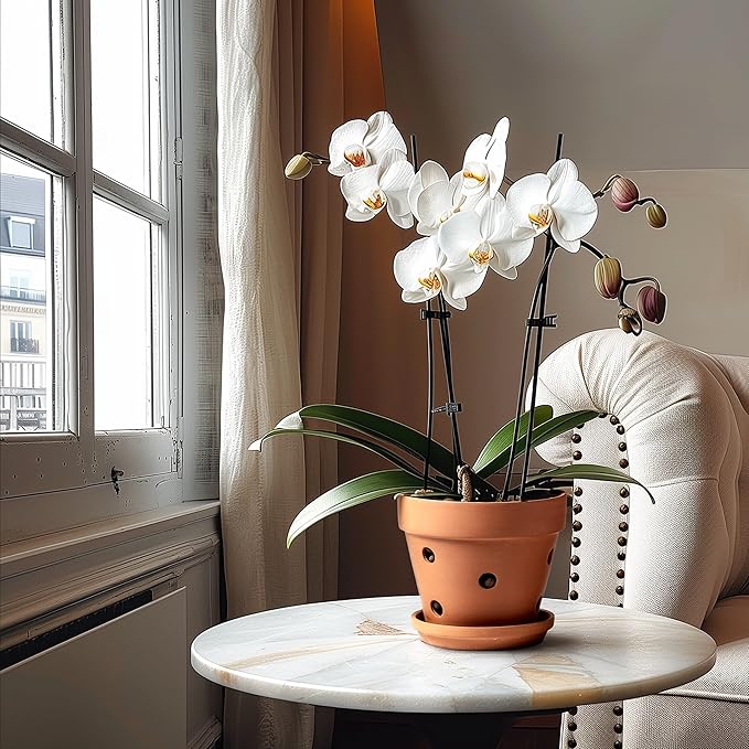 HERDUK Clay Orchid Pots with Holes,Terracotta Orchid Pots with Drainage Holes & Saucer for Repotting 6 Inch, Orchid Planters for Indoor Plants