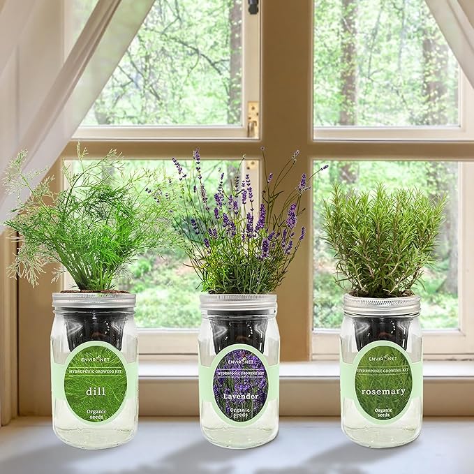 Environet Hydroponic Herb Growing Kit Set, Self-Watering Mason Jar Herb Garden Starter Kit Indoor, New Christmas Gift for Mom (Dill, Lavender & Rosemary)