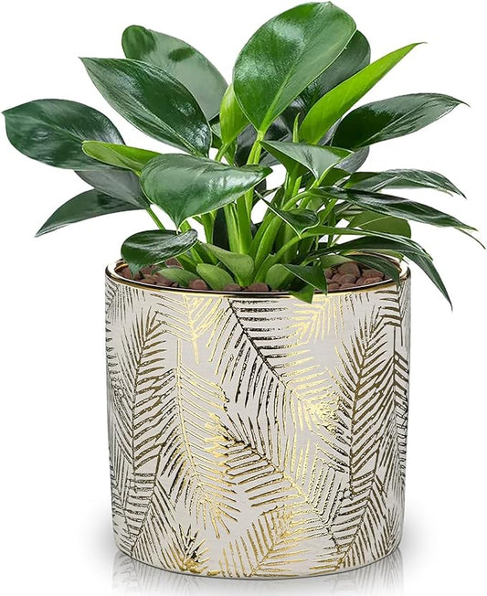 Oairse Small Ceramic Pot for Indoor Plants, 5.3 inch Plant Pot with Drainage Hole Decorative Texture Gold Planter Indoor Outdoor Flower Pots for Succulent Snake Plant Pothos Orchid