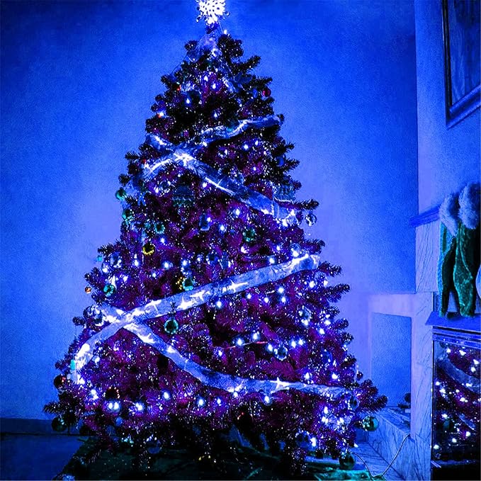RUICHEN Silver Wire 66 Ft 200 LED USB Fairy String Lights with On/Off Switch (Blue)