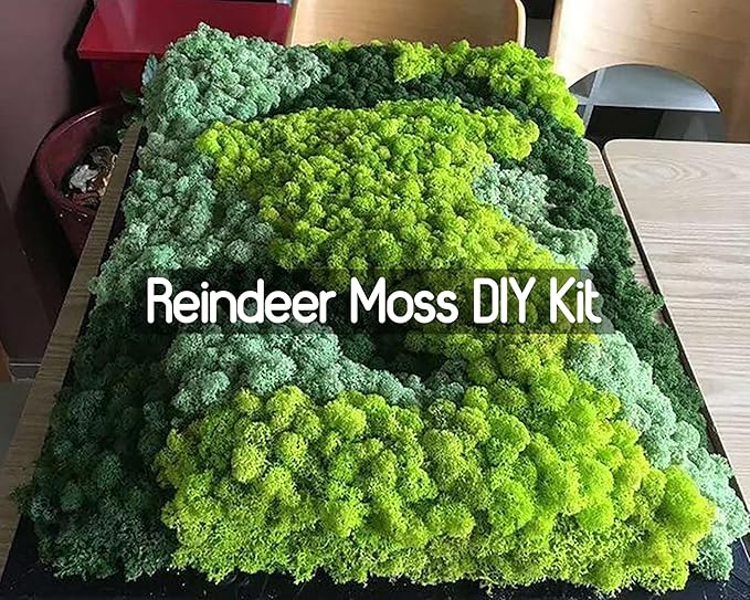 prefleur Preserved Reindeer Moss Natural Green DIY Kit Gardenning Art Wall Decor Florist Decor Easter Table Decor Wedding