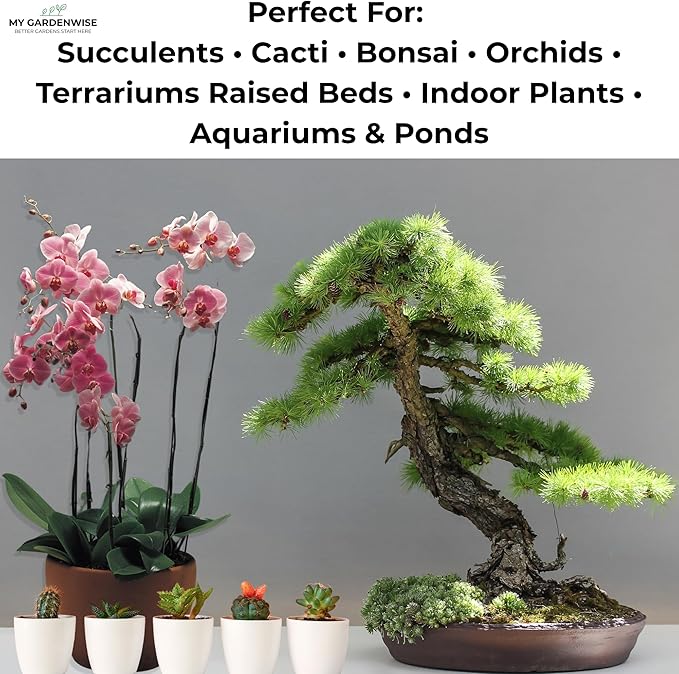 GARDENWISE Lava Rocks for Plants (3/8’’ Minus), Natural Black Lava Rocks, Succulent & Terrarium Horticultural Volcanic Rock, Drainage for Potted Plants, Made in USA (1 qt - 2 lbs)