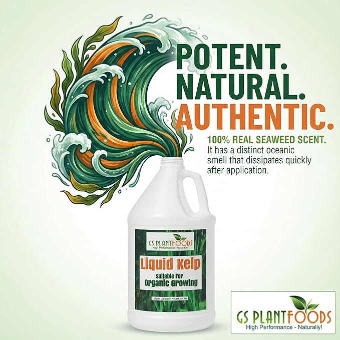 GS Plant Foods Liquid Kelp Fertilizer – Suitable for Organic Growing, OMRI Listed Seaweed Concentrate for Lawns, Gardens & Soil - 1 Gallon (Makes Up To 800+ Gallons)